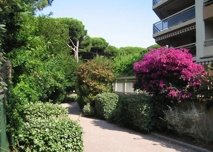 Apartment 2 Pieces A : Port, Grande Terrasse 62m², Proche Plages, 4 Pers., Wifi, Commerces - Fr-1-335-184 *